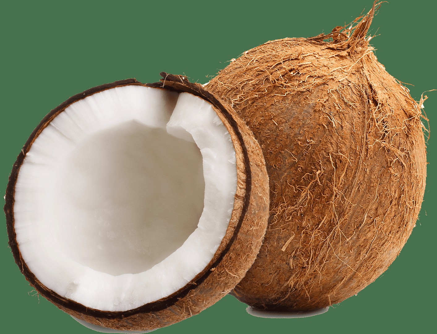 Fresh Coconut Janos 1 Each