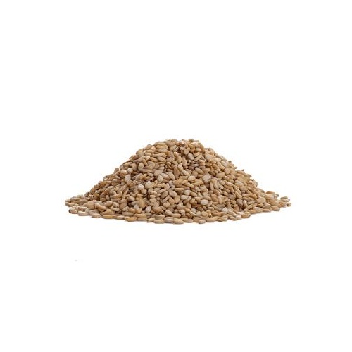 AARA SESAME SEEDS 28 OZ