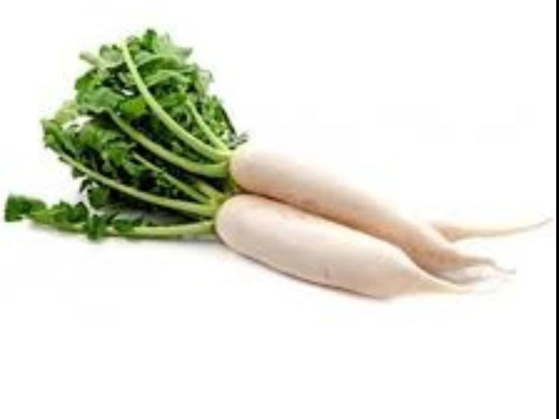 RADISH 16 OZ