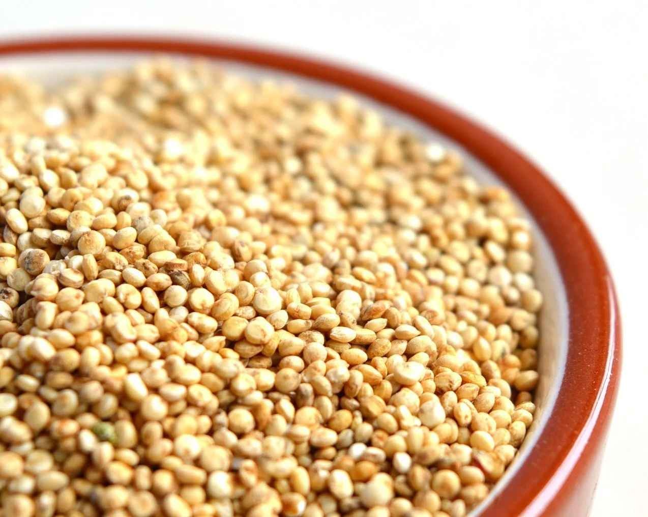 Whole Grain Quinoa 14 OZ