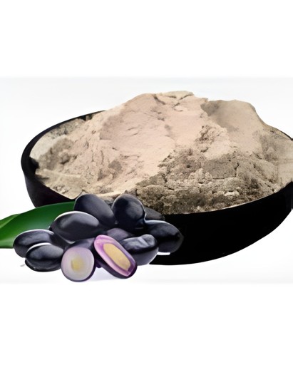 VEDIC JAMUN POWDER 100 GM