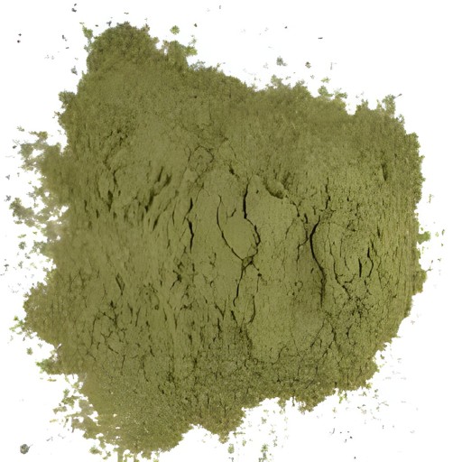 Gudmar Powder 100 GM