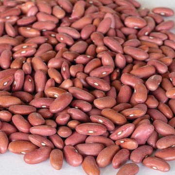 AKSAR LIGHT KIDNEY BEANS  4 LBS