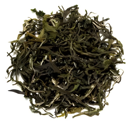 QUIK TEA GREEN TEA