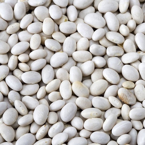 AARA RANGOONI VAL 4 LBS