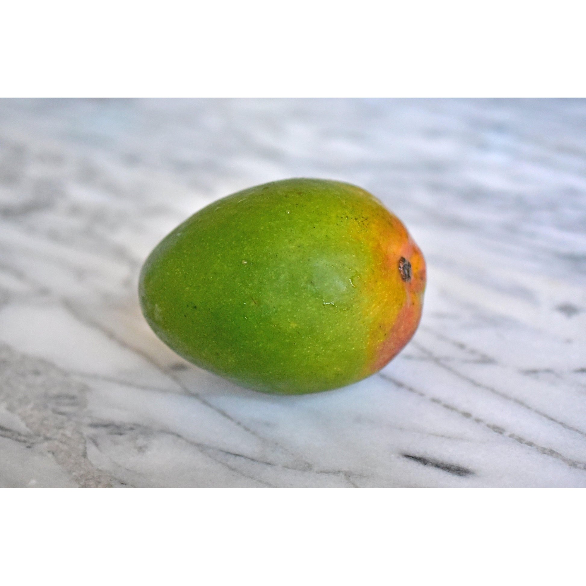 Marathon Kent Mango 1 CASE