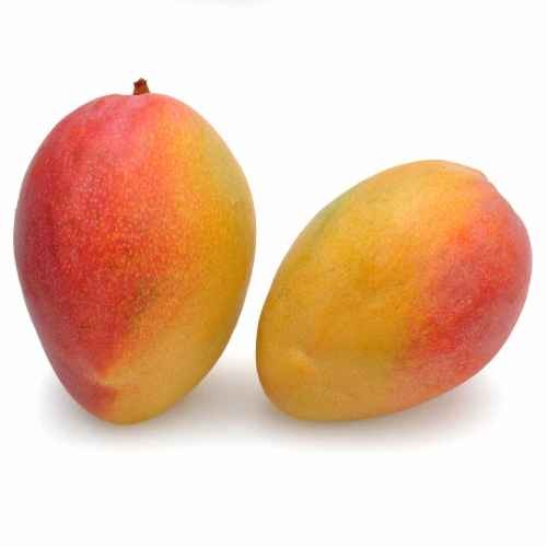 Haden Mango 1 PACK