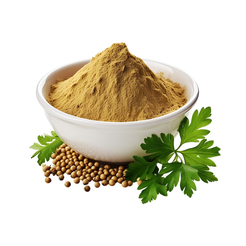VEDIC ORG CORIANDER POWDER 200 GM