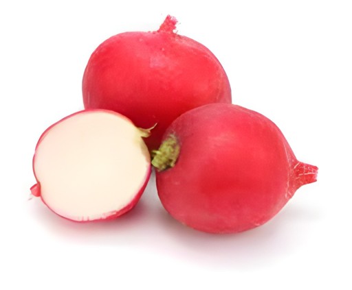 RED RADISH 6 OZ