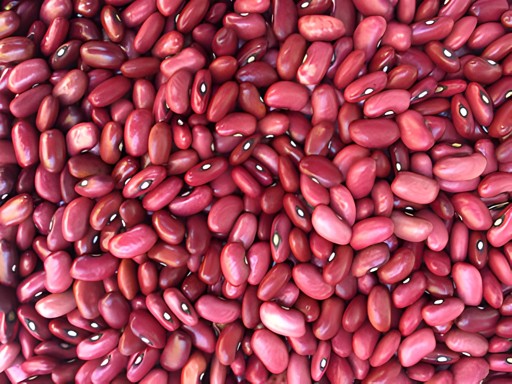 FRIJOL ROJO DE SEDA 14 OZ
