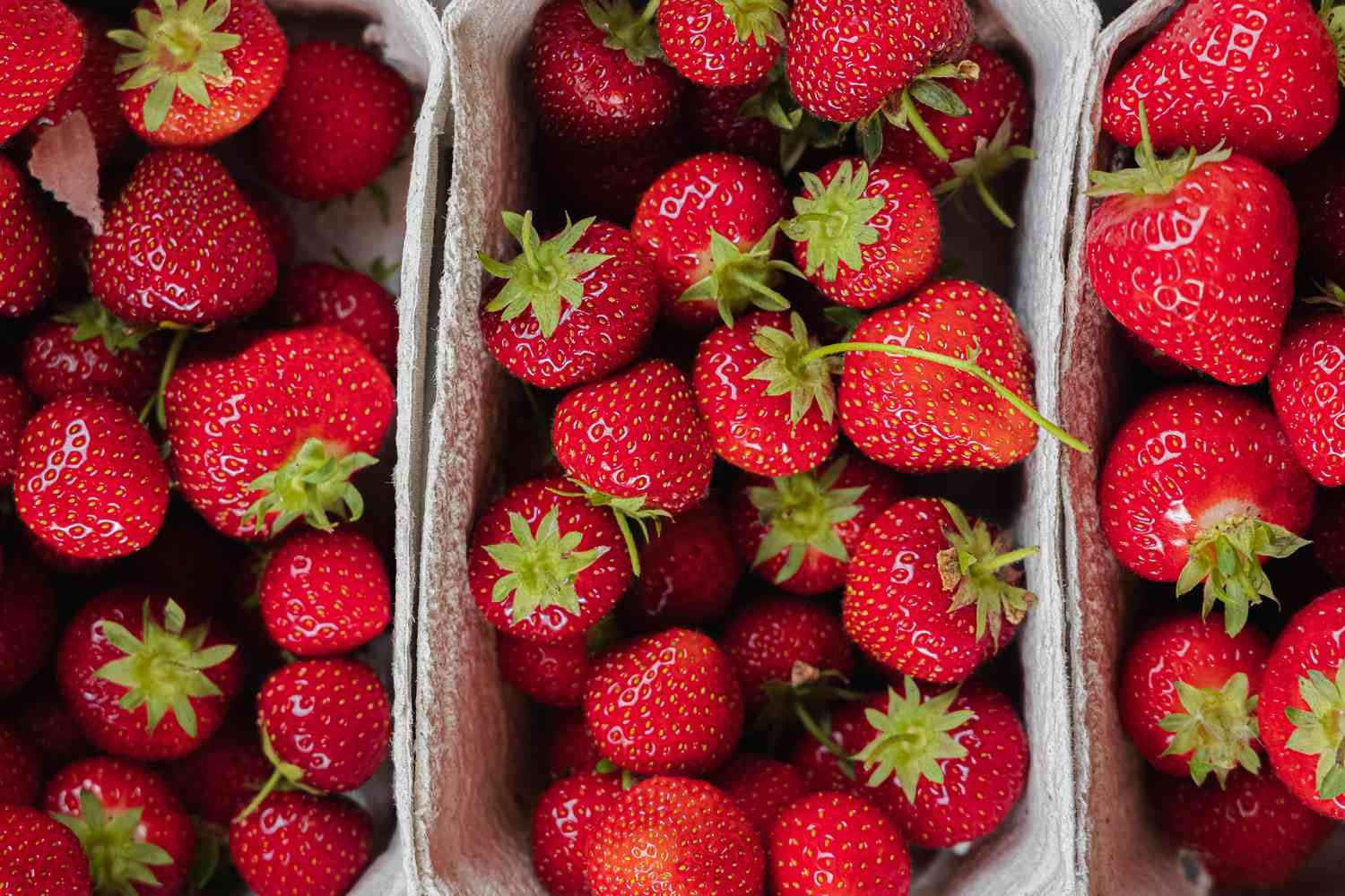 FRESH STRAWBERRY CELLO 1 LBS