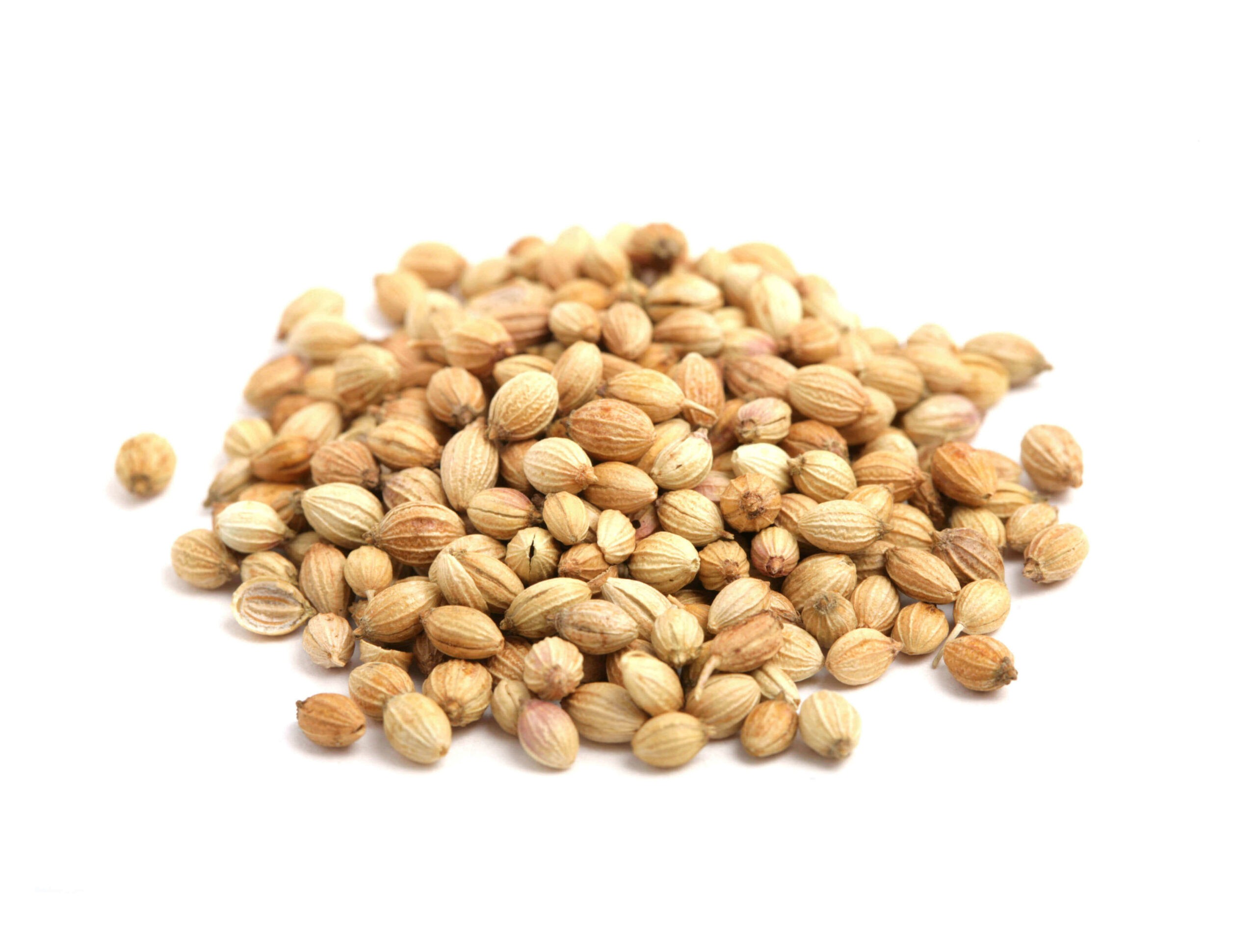 Aara Coriander Seeds 28 OZ