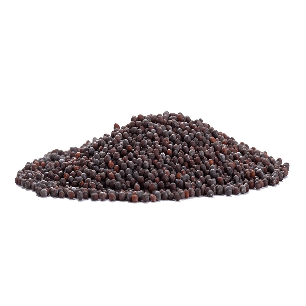Aara Mustard Seeds 14 OZ
