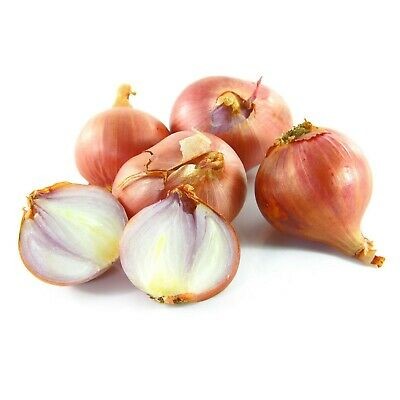Shallot Onion 1 LBS
