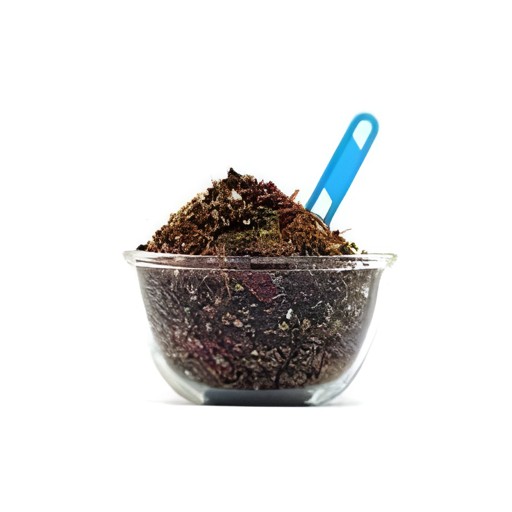 Sawan Mukhwas 180 GM