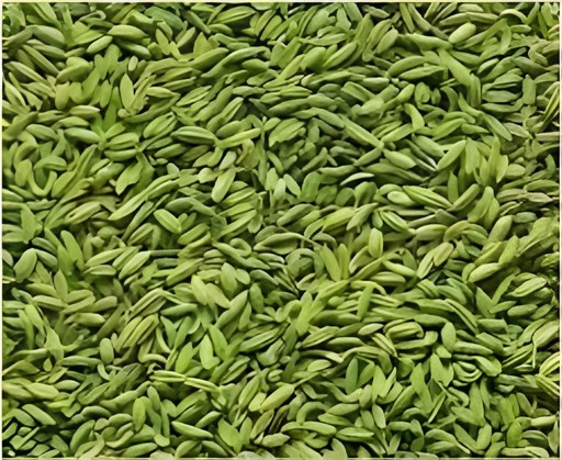 GAZAB GREEN FENNEL STRONG MINT 0.44 Lbs