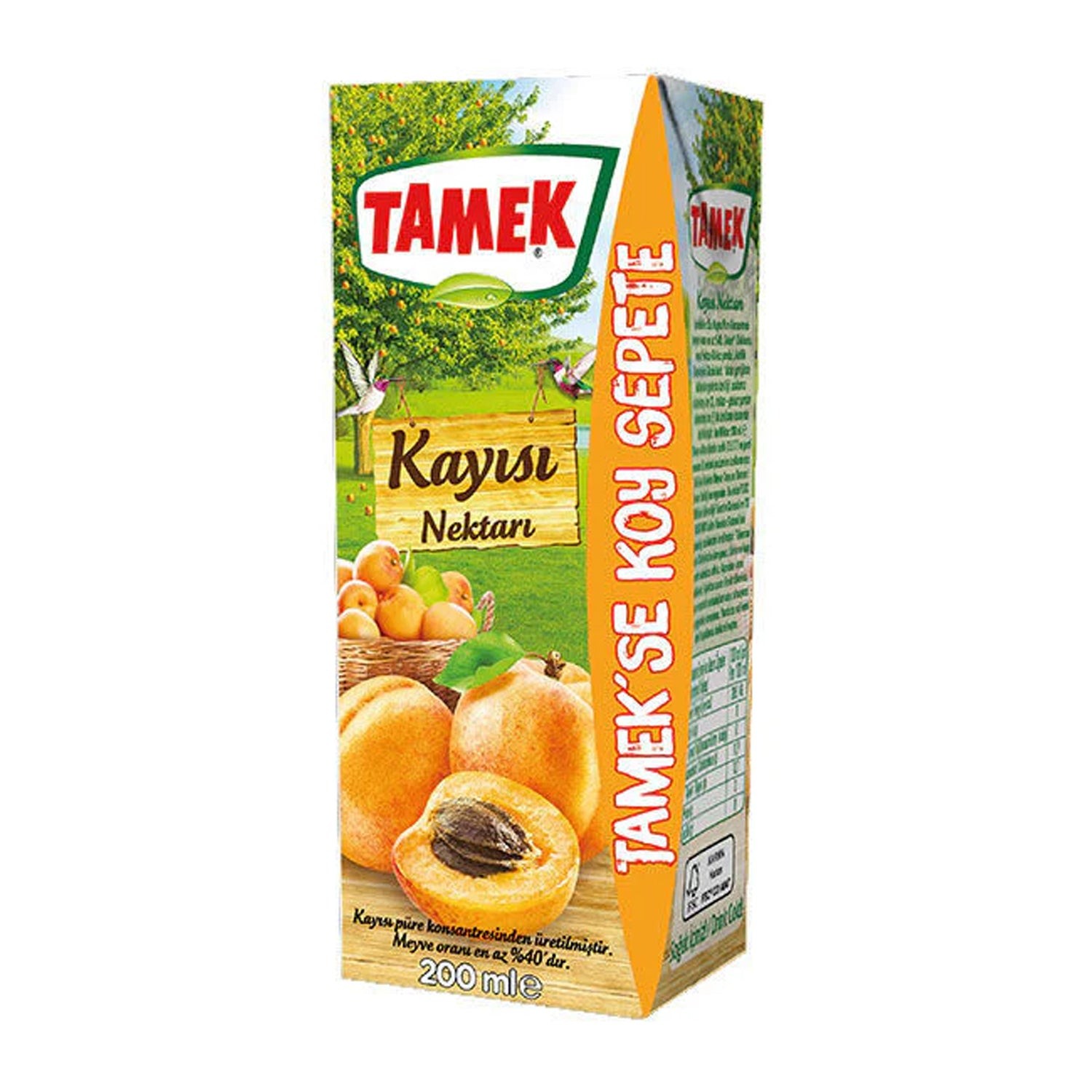 TAMEK APRICOT JUICE 200 ML