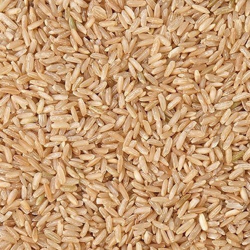 Sun Island Brown Rice Light 10 LBS