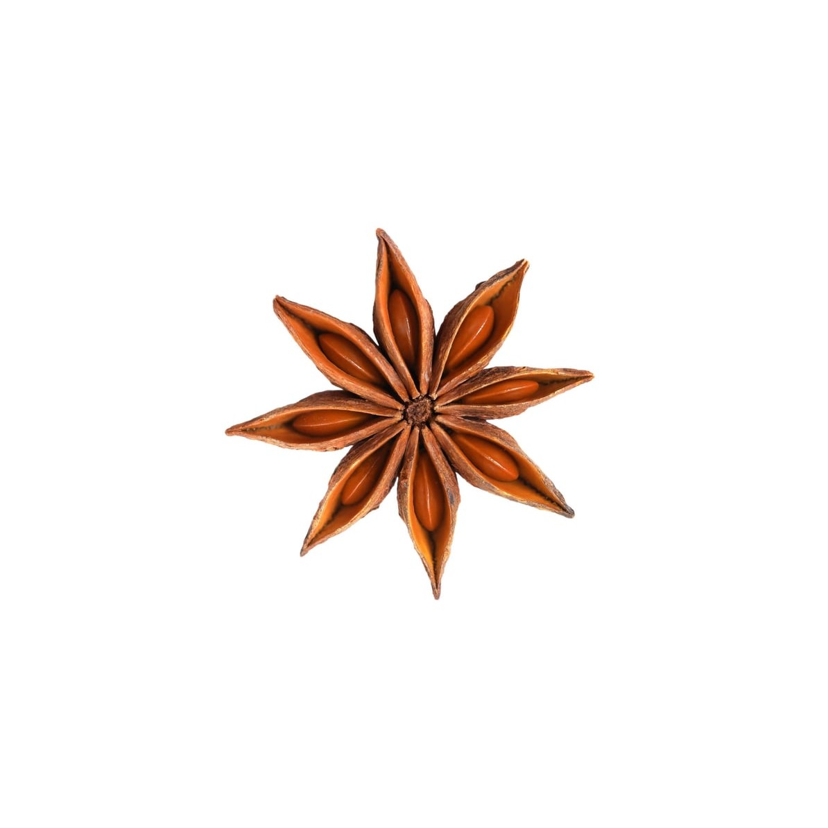 Santos Star Anise 200 GM