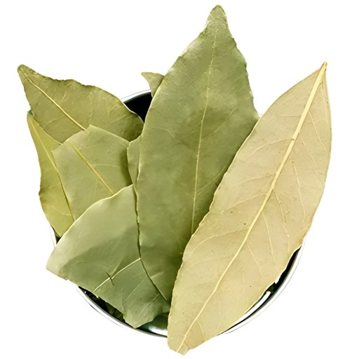 Santos Tej Patta Bay Leaves 100 GM