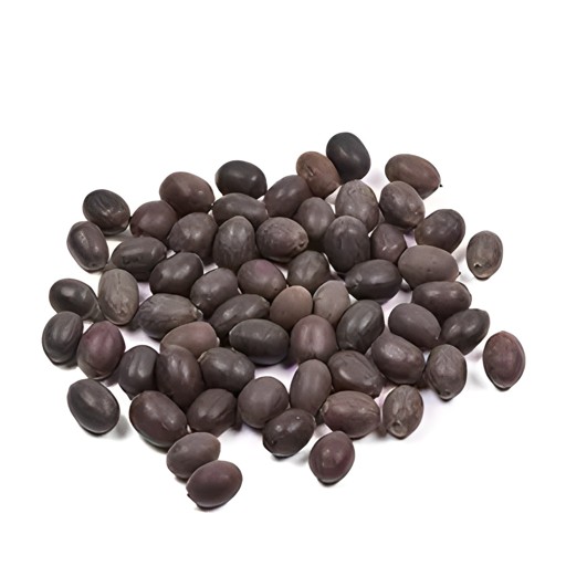 DS Kamal Gatta 20 PCS