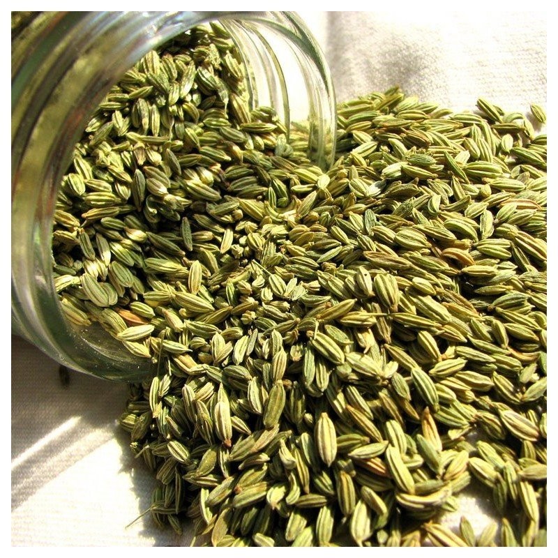 PURANI DILLI SAUNF  2 LBS