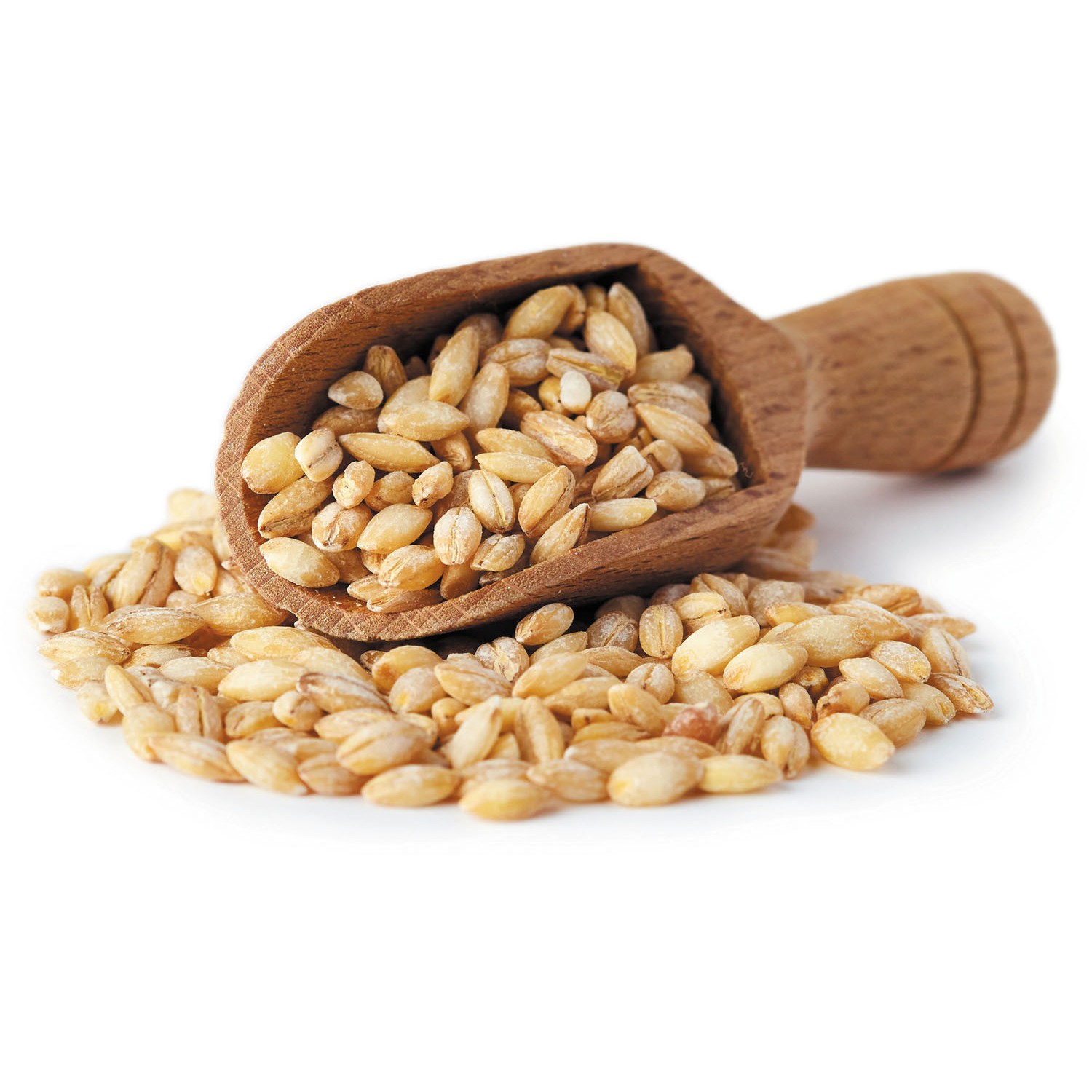 DHANRAJ BARLEY 14 OZ