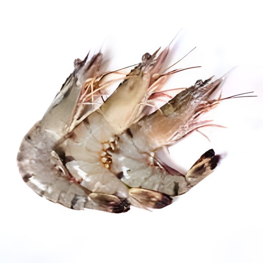 Shrimp Ocean Bay 2 Lbs
