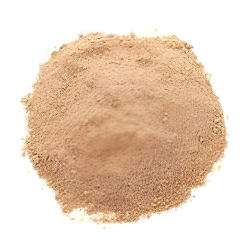 AMCHUR POWDER 400 GM