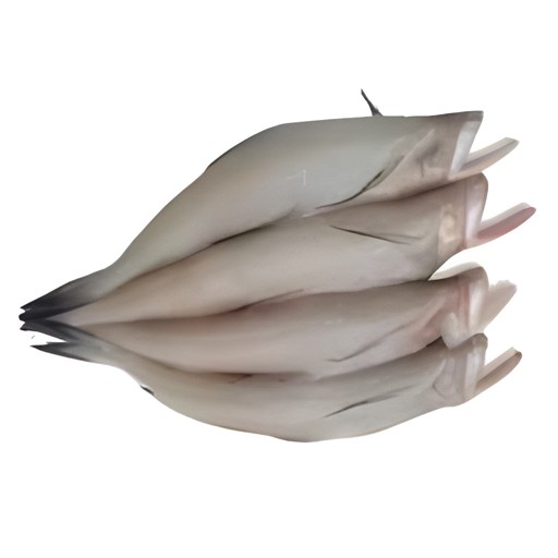 LOTIA FISH 500 GM