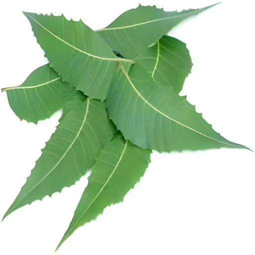 Bavan Neem Leaves 100 GM