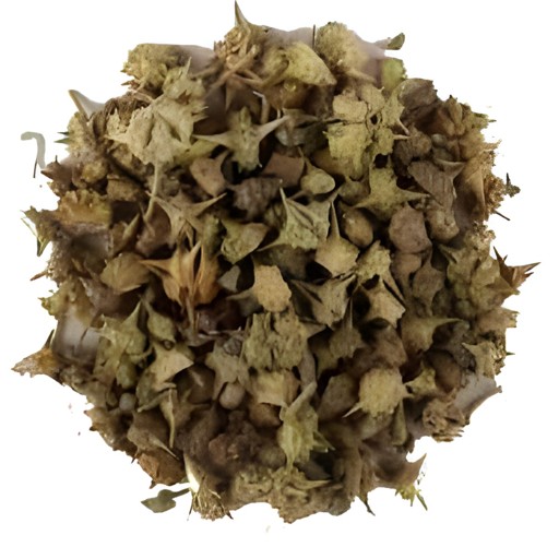 Bhakra Gokhru 100 GM