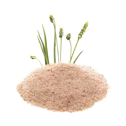 Bavan Isabgol Whole 100 GM