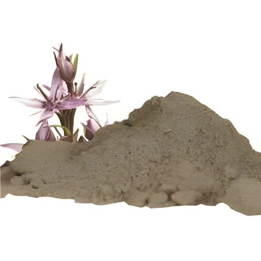 Bavan Chirayata Pwd 100 GM