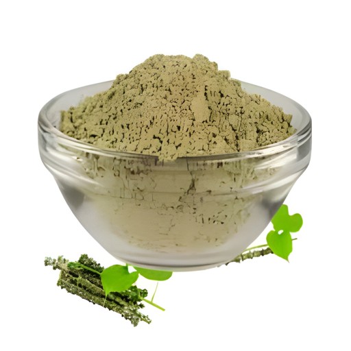 Bavan Giloy Powder 100 GM