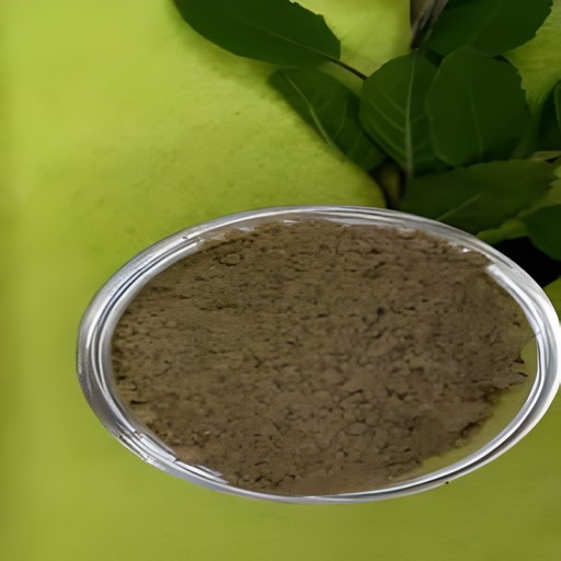 Bavan Tulsi Pwd 100 GM