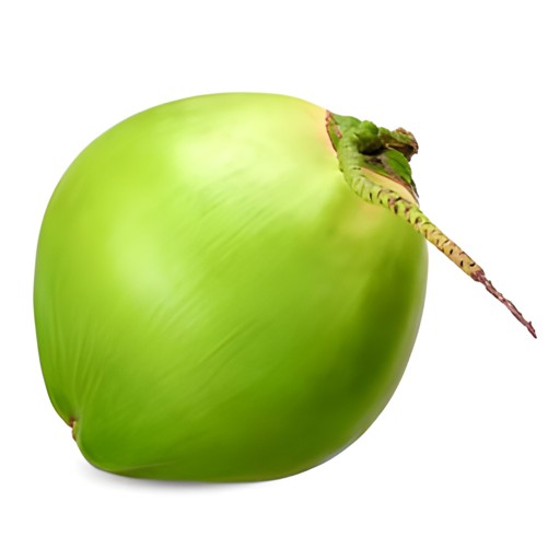 YOUNG COCONUT 1 EACH