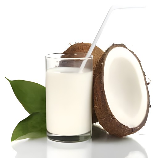 COCONUT MILK DRINK 485 ML