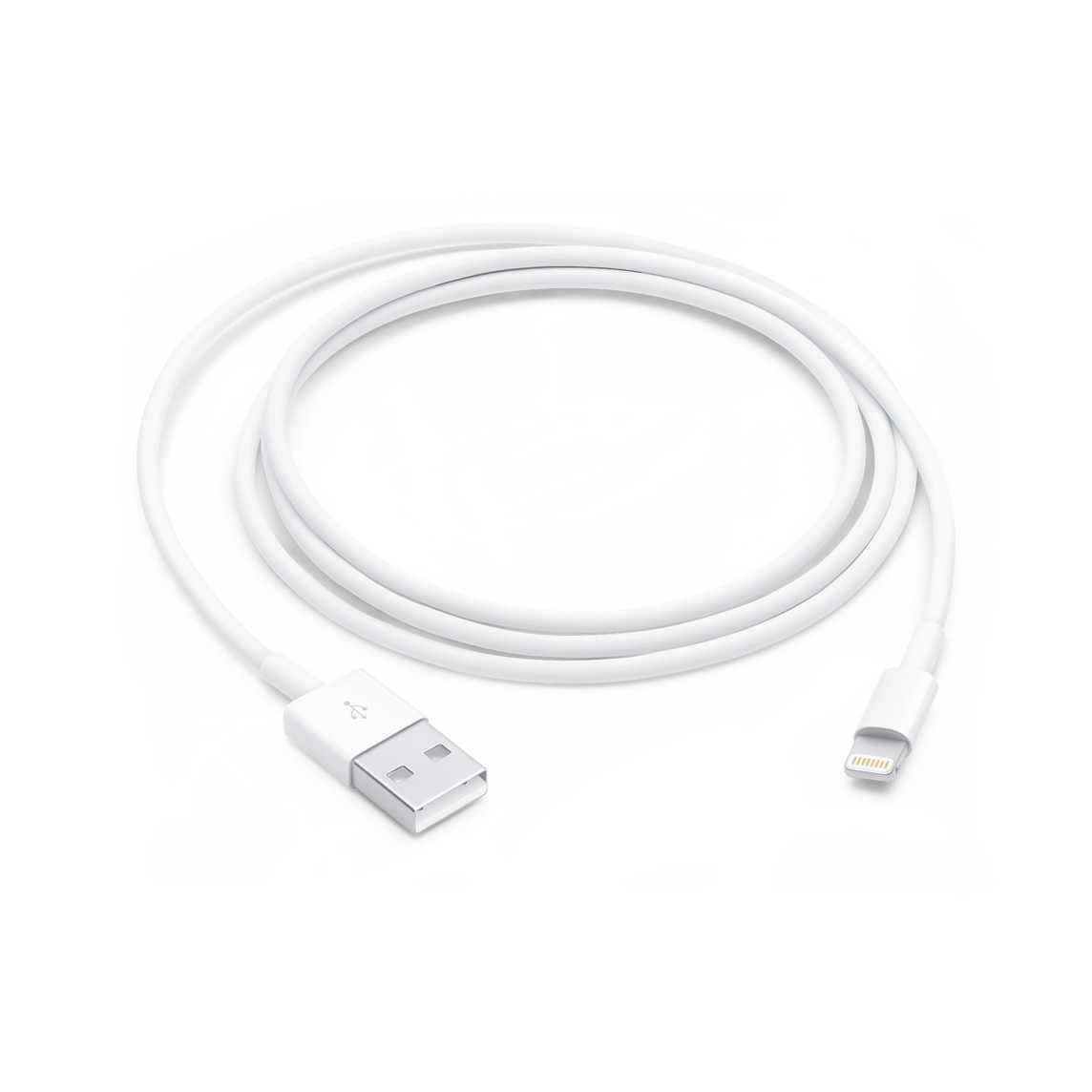 Lightining Cord  1 Each