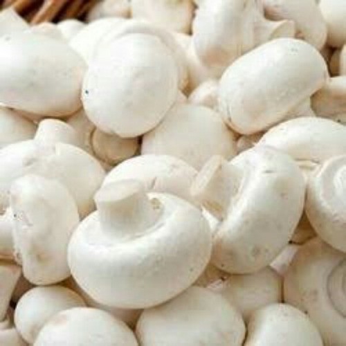 FARMERS FRSH MUSHROOM 1 LBS