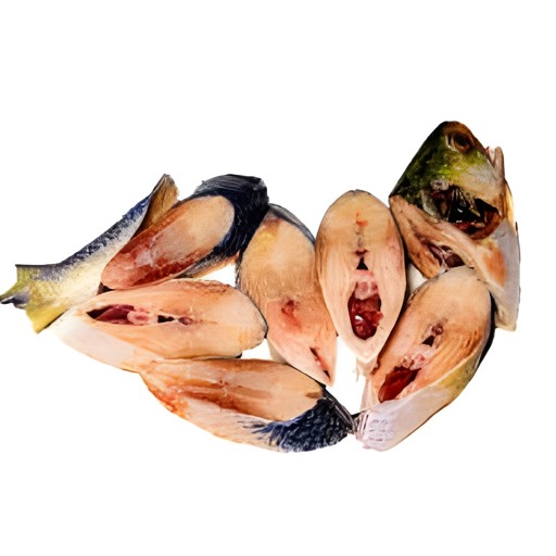 SEA KING HILSA
