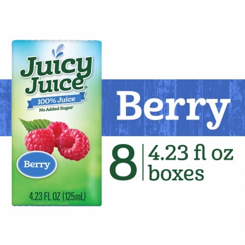 JUICY JUICE BERRY 8P 4.23 OZ