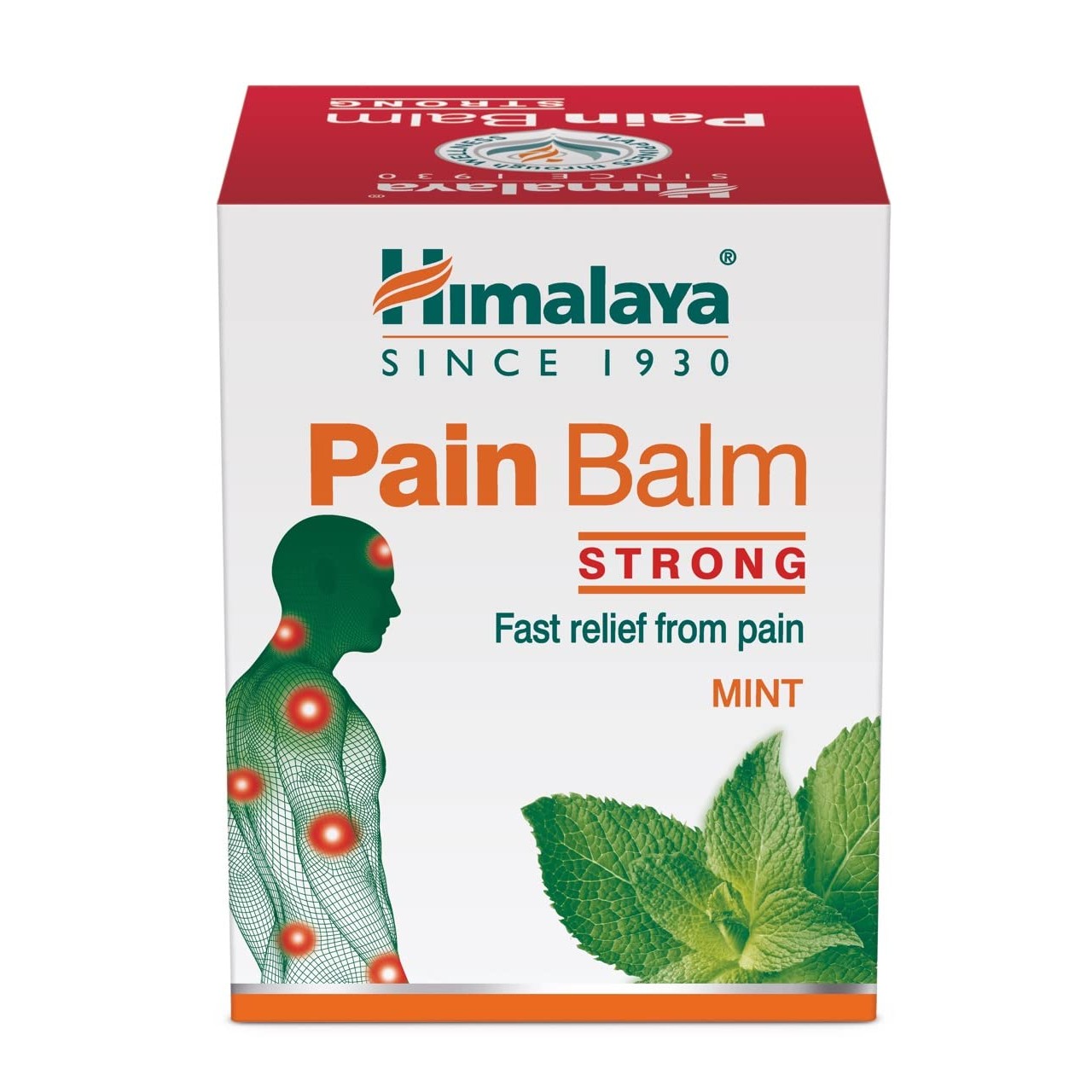HIMALAYA PAIN BALM 45 GM
