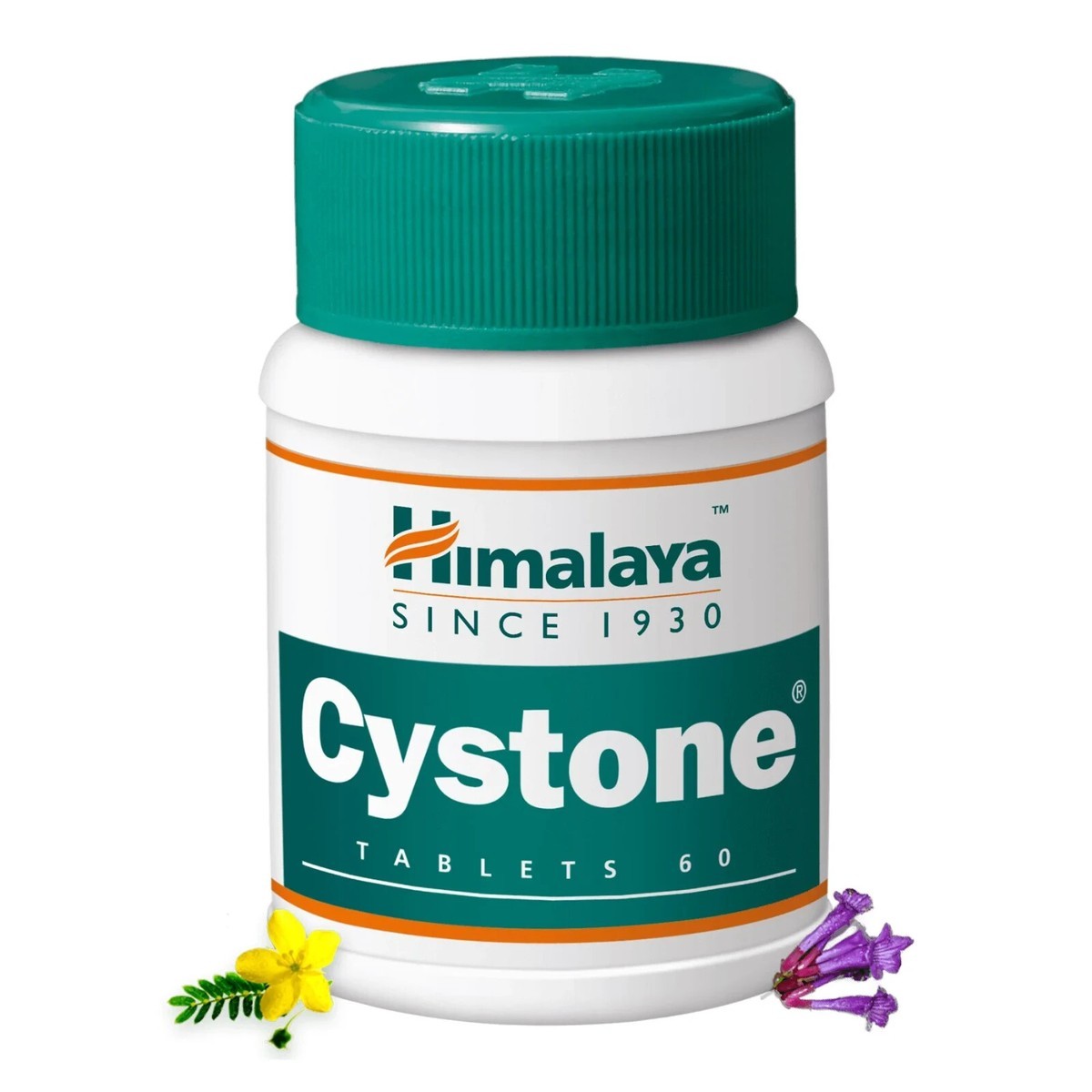 CYSTONE TABLETS HIMALAYA 60 TAB 1 EACH