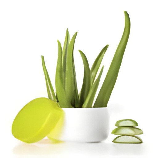 Aloe Vera Face Wash 100 Ml