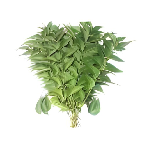 Neem 70 GM