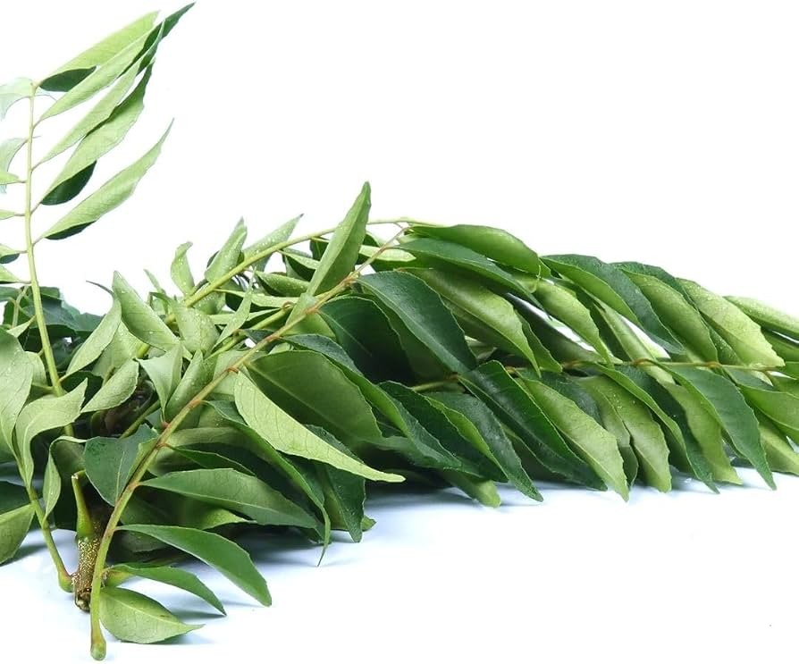 Navya Curry Leaf 100 GM