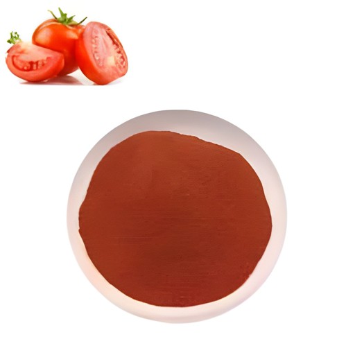 TOMATO SPICE PODI WITH FLAX SEEDS 100 GM