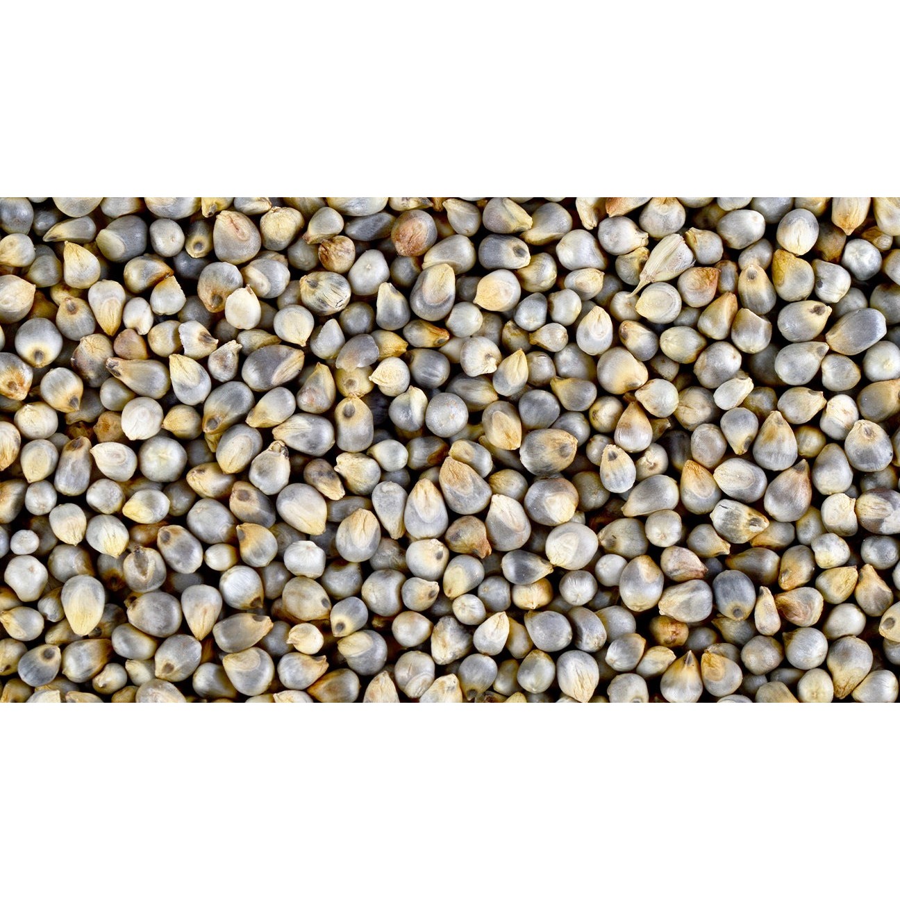 5ABB PEARL MILLET 2 LBS