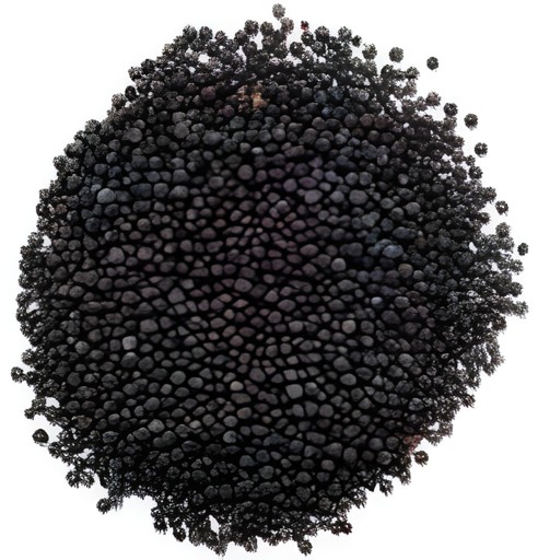 Krish Mustard Seed 200 GM